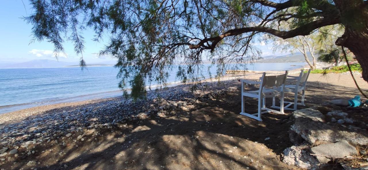 Vikos Beach Apartments Παραλία Ιρίων Εξωτερικό φωτογραφία