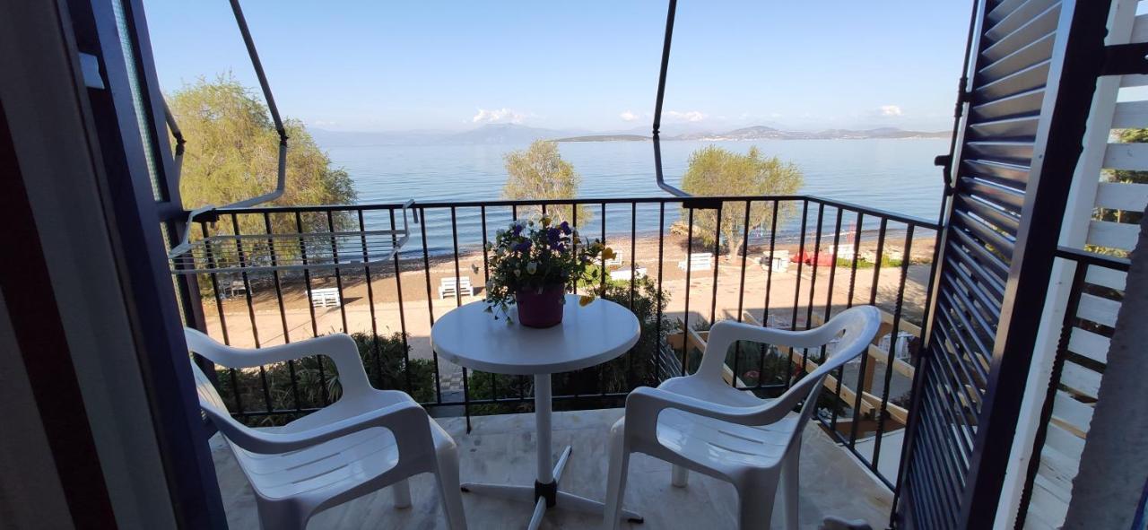 Vikos Beach Apartments Παραλία Ιρίων Εξωτερικό φωτογραφία