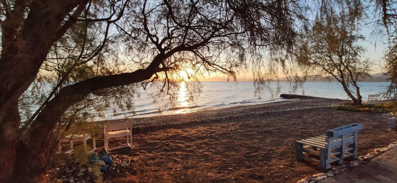 Vikos Beach Apartments Παραλία Ιρίων Εξωτερικό φωτογραφία