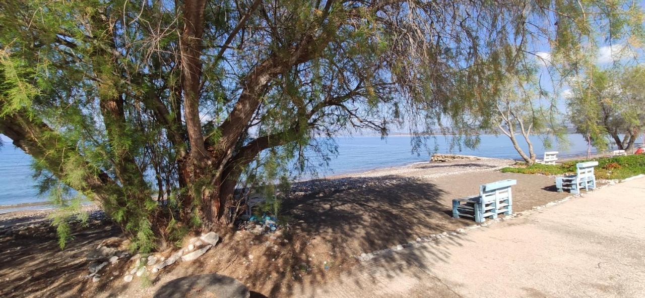 Vikos Beach Apartments Παραλία Ιρίων Εξωτερικό φωτογραφία