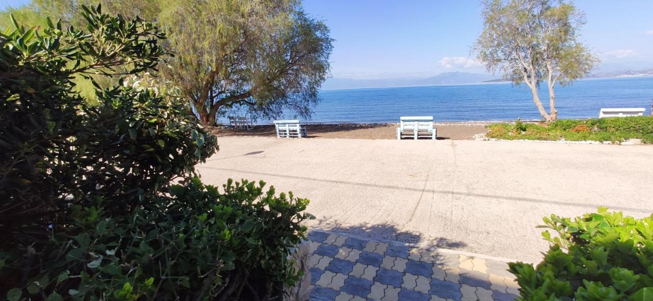 Vikos Beach Apartments Παραλία Ιρίων Εξωτερικό φωτογραφία