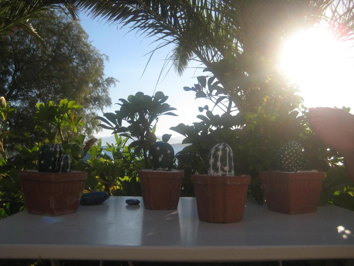 Vikos Beach Apartments Παραλία Ιρίων Εξωτερικό φωτογραφία