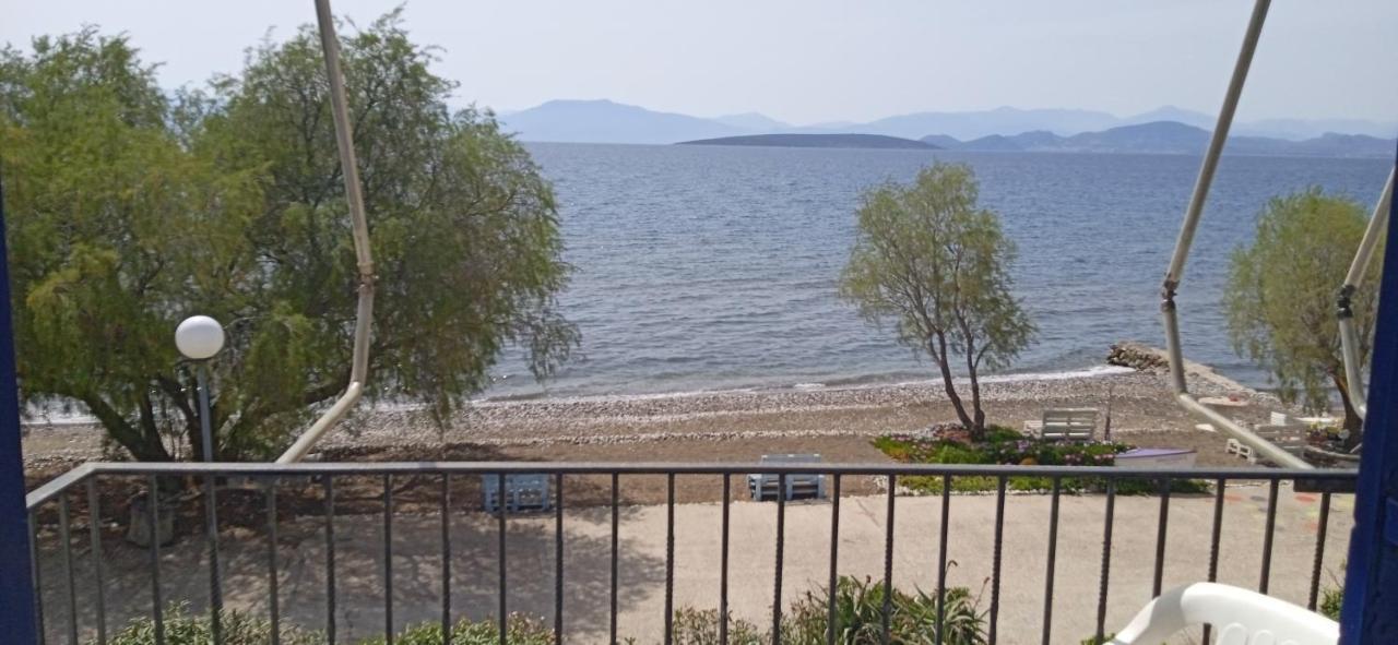 Vikos Beach Apartments Παραλία Ιρίων Εξωτερικό φωτογραφία