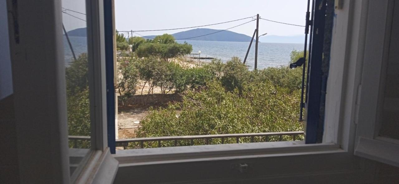 Vikos Beach Apartments Παραλία Ιρίων Εξωτερικό φωτογραφία