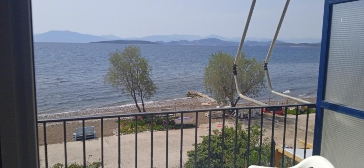 Vikos Beach Apartments Παραλία Ιρίων Εξωτερικό φωτογραφία