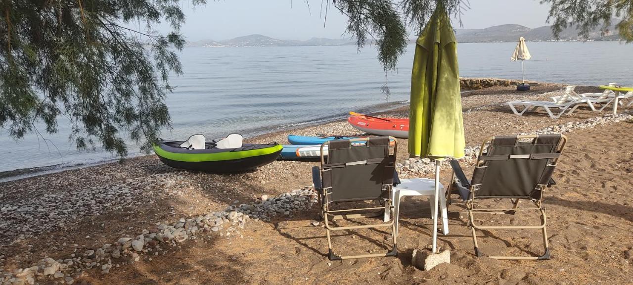 Vikos Beach Apartments Παραλία Ιρίων Εξωτερικό φωτογραφία