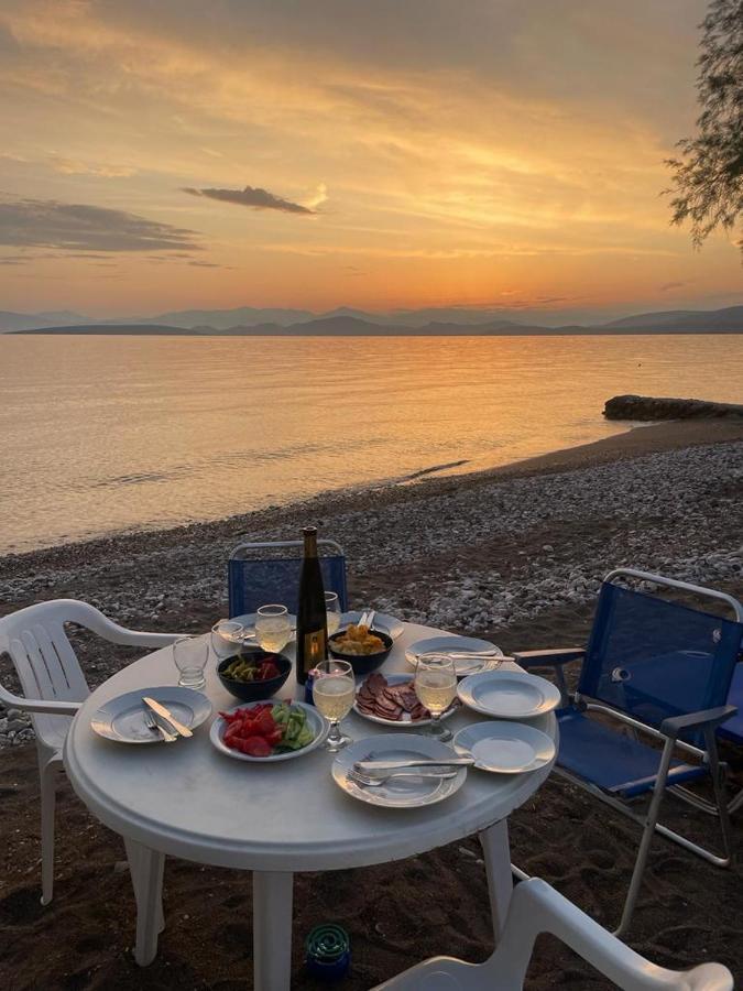 Vikos Beach Apartments Παραλία Ιρίων Εξωτερικό φωτογραφία