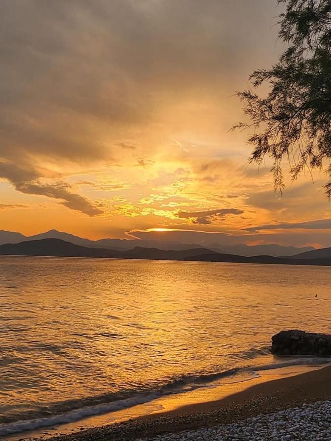 Vikos Beach Apartments Παραλία Ιρίων Εξωτερικό φωτογραφία