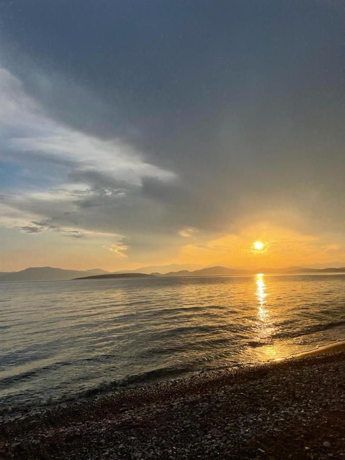 Vikos Beach Apartments Παραλία Ιρίων Εξωτερικό φωτογραφία