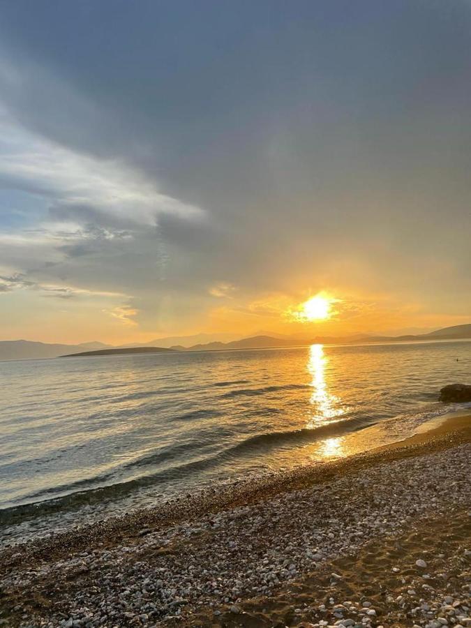 Vikos Beach Apartments Παραλία Ιρίων Εξωτερικό φωτογραφία